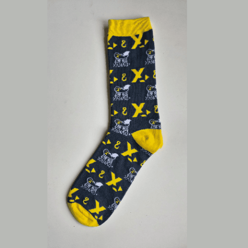 Licos NFT socks